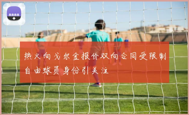 热火向戈尔金报价双向合同受限制自由球员身份引关注