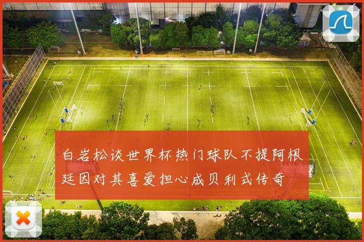 白岩松谈世界杯热门球队不提阿根廷因对其喜爱担心成贝利式传奇
